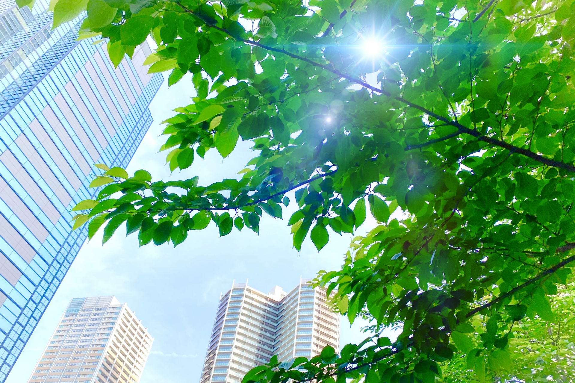 ABOUT背景